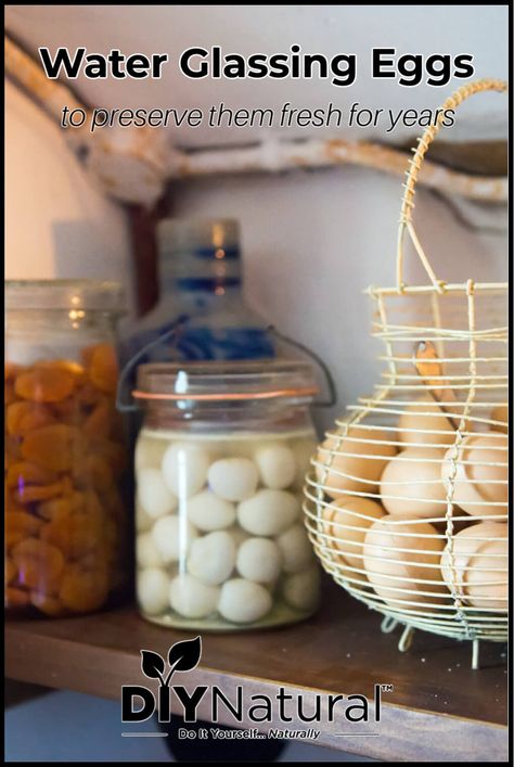 Egg Preservation, Glassing Eggs, Lime Eggs, Preserving Eggs, Storing Eggs, Pickling Salt, Lime Water, Glass Store, Animal Ideas