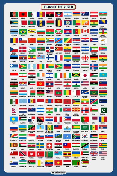 Country Flags Of The World, World Flags With Names, Geography Themes, All World Flags, All Country Flags, World Country Flags, World Map With Countries, Flag Drawing, Name Drawings