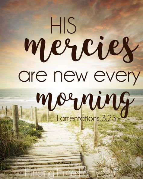 Printable Bible Verse Lamentations 3:23. His mercies are new every morning. Jesus Morning Quotes, His Mercies Are New Every Morning Quotes, Good Morning Bible Verse Psalms, Lamentations 3:23, His Mercies Are New Every Morning, Good Morning Bible Quotes, Morning Bible Quotes, Good Morning Bible Verse, Mercies Are New Every Morning