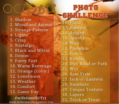 October Photo Challenge.  Don't forget to tag your pics with #WifetimeOCT17 or #wifetimeoct17 #WifetimeOct17 October Photo Challenge, Fall Inspiration, Photo A Day, Funny Thanksgiving, Photo Challenge, Fall Fun, Autumn Inspiration, Woodland Animals, Don't Forget