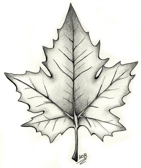 Black And Grey Maple Leaf Tattoo Design #Halloween #tattoos #Halloweentattoos Maple Leaf Tattoo Design, Maple Tattoo, Leave Drawing, Leaf Tattoo Design, Maple Leaf Template, Autumn Tattoo, Leaf Tattoo, Skin Tattoo, Black And White Leaves