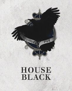 Regulus Black Aesthetic, Regulus Acturus Black, Cassiopeia Black, The Noble House Of Black, Black Harry Potter, The House Of Black, Noble House Of Black, Andromeda Black, The Black Family