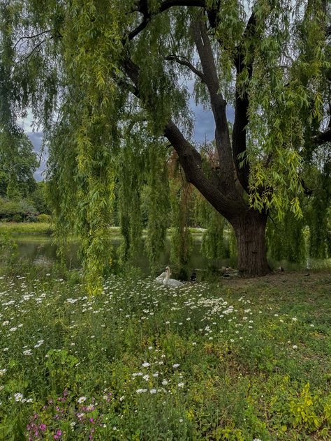 London Picnic Aesthetic, London Garden Aesthetic, London Parks Aesthetic, London Park Aesthetic, Hyde Park London Aesthetic, Hyde Park Aesthetic, Summer In London Aesthetic, London Countryside, London In Spring