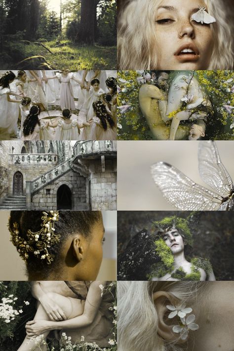 {The seelie court} Duty before passion, Tradition over change, Honor over all, Glamour shall be used with righteousness. Led by Queen Titania, beauty and justice rule the Seelie Court. It is the counterpart to the Unseelie Court. Humans that chose this court will have access to water and earth elements. Will you choose to ally with the seemingly pure court? There is more than meets the eye.{12/12} The Seelie Court, Seelie Court, Human Kindness, History Painting, Magic Aesthetic, Witch Aesthetic, Aesthetic Collage, Color Inspiration, Art History