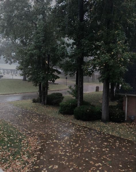 Gloomy Small Town With A Secret, Rainy Suburbs, Rainy Neighborhood, Dark Suburbia, Suburbs Aesthetic, Stick Season, Rainy Street, Rainy Day Aesthetic, Rainy Morning