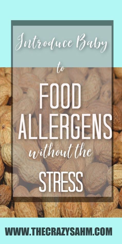 Introducing Allergens into your babies diet is hard, but it doesn't have to be! Find out how to easily and safely introduce infant allergens to your baby. #momlife #babyfeeding #babyledweening #ad Baby Muffins, Peanut Powder, Kids Allergies, Feeding Baby, Exams Tips, Food Allergens, Toddler Food, Kid Food, Muffin Recipe