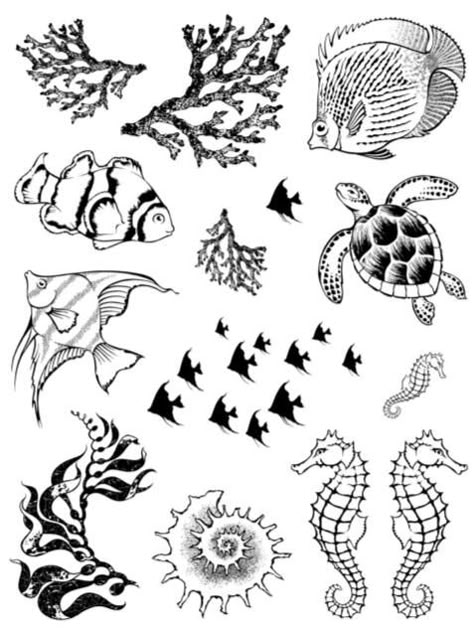 Sea Creatures Drawing, Beach Lighthouse, Sea Drawing, Marine Organism, Shells Beach, Butterfly Fish, Ocean Tattoos, Fish Sea, Fish Drawings