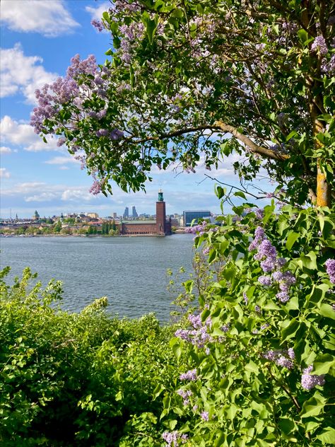 Stockholm spring viewpoint summer citytrip Stockholm Spring, Stockholm Aesthetic, Sweden Summer, Europe 2024, Scandinavia Travel, Dora The Explorer, Stockholm Sweden, European Summer, Study Abroad