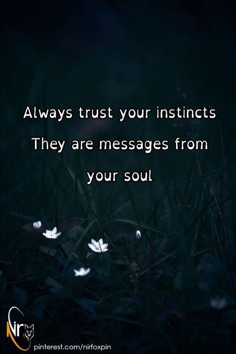 Trust Instincts Quotes, Follow Your Instincts Quotes, Always Trust Your Instincts, Trust Your Instincts Quotes, Instincts Quotes, Instinct Quotes, Follow Your Instincts, Facebook Cover Quotes, 2024 Board