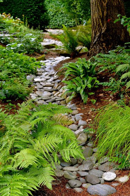 Controlling water run off using a river creek bed River Rock Garden, Dry River, River Rock Landscaping, Creek Bed, River Bed, Rock Garden Landscaping, Stone Path, Dry Creek, Low Maintenance Garden