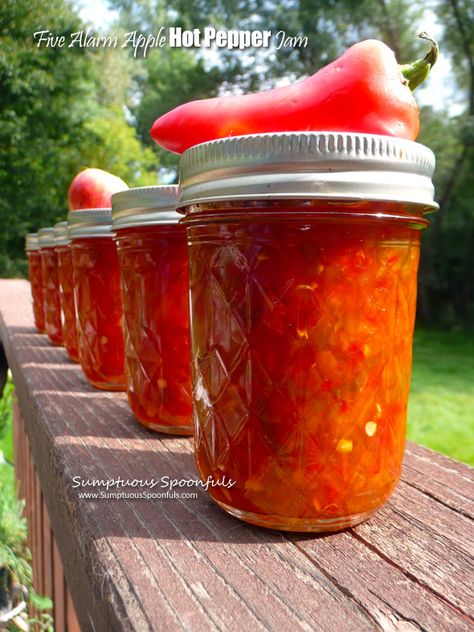 Five Alarm Apple Hot Pepper Jam | Sumptuous Spoonfuls Pepper Jam Recipe, Hot Pepper Jam, Hot Pepper Recipes, Pepper Jam, Pepper Jelly Recipes, Hot Pepper Jelly, Jam Recipes Homemade, Mini Sweet Peppers, Pepper Jelly