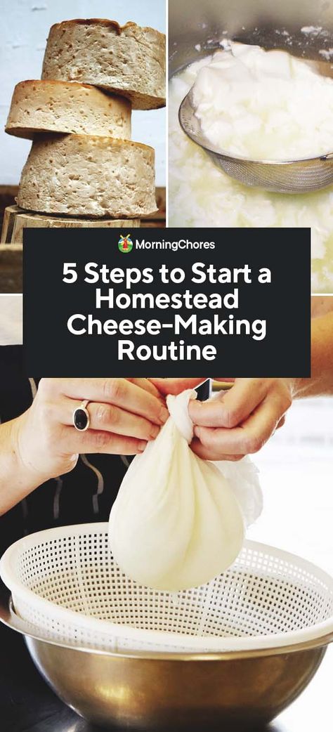 Cheese Recipes Homemade, Cheese Making Recipes, Goat Milk Recipes, Diy Cheese, Cheese Making, Butter Cheese, Homemade Cheese, Dairy Products, No Dairy Recipes