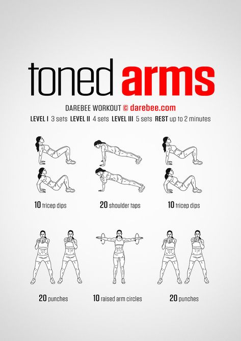 Toned Arms Workout, Effective Workout Plan, Arm Flab, Arm Workouts At Home, Beginner Workout At Home, Arm Workout Women, Beginner Workouts, Arms Workout, Arm Workouts