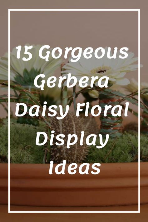 15 Gorgeous Gerbera Daisy Floral Display Ideas Gerber Daisy Arrangements Vase, Red Pink White Floral Arrangement, Floral Display Ideas, Daisy Floral Arrangements, Gerbera Daisy Centerpiece, Floral Arrangement Ideas, Daisy Flower Arrangements, Daisy Centerpieces, Orchid Flower Arrangements