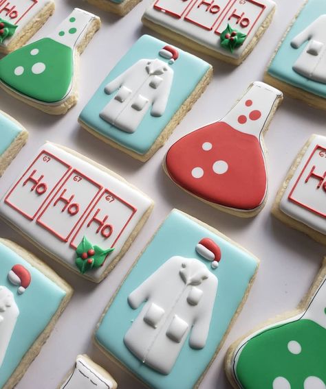 Pharmacy Cookies, Philosophy Christmas Cookie, Chemistry Cookies, Pharmacy Royal Icing Cookies, Laboratory Cookies Decorated, Pharmacy Ornaments, Christmas Science, Cookie Business, Spice Cookies