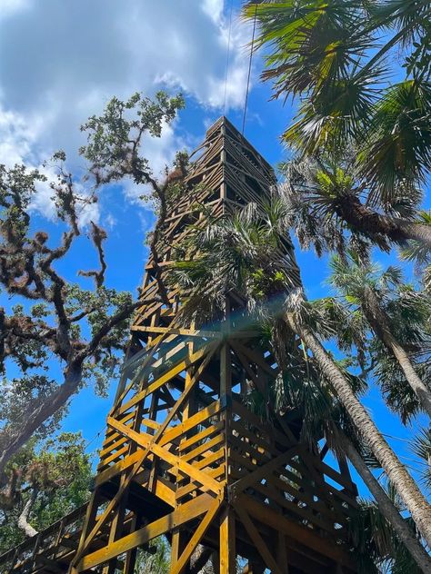 Get Lost in Nature at Myakka River State Park – All Around the Bend Myakka River State Park, Lost In Nature, Around The Bend, Christmas Getaways, Jensen Beach, Fort Pierce, Summer Storm, Drive In Theater, Palm Coast