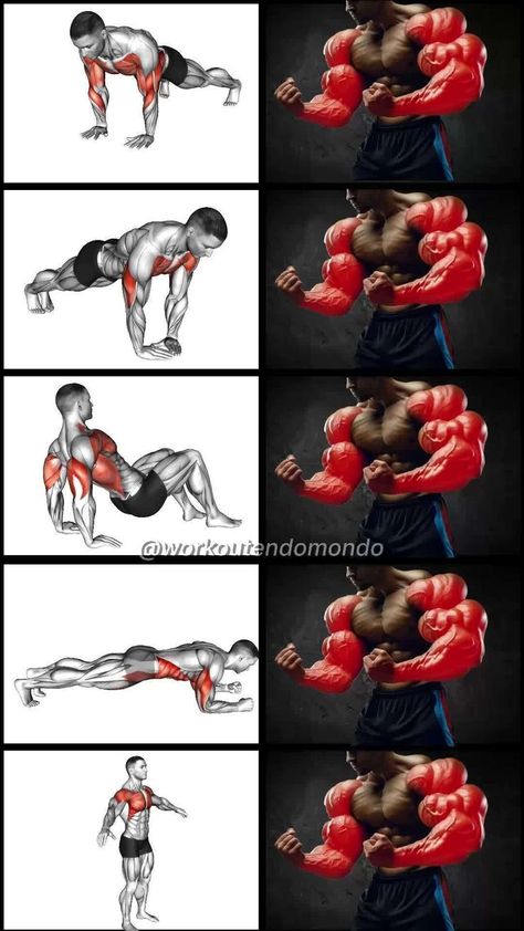 Bicep Workout Without Equipment, Workout Without Equipment, Arms At Home, Bigger Biceps, Workouts Without Equipment, Tone Your Arms, Best Gym Workout, Big Biceps, Arm Workouts