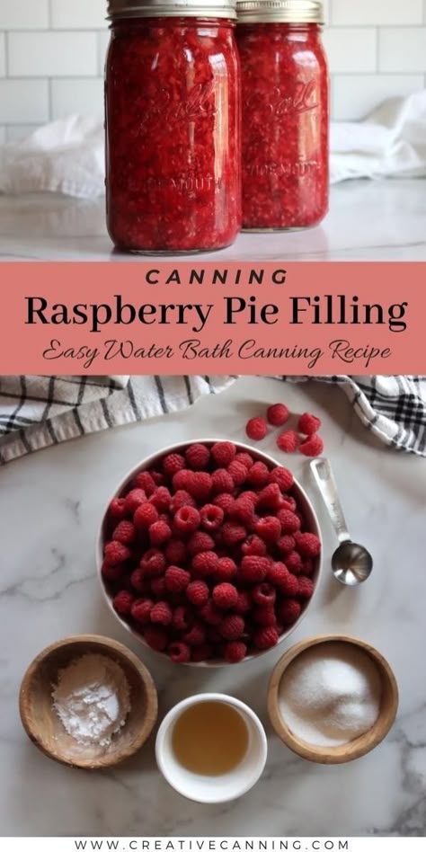 Canning Raspberries Recipes, Canning Raspberry Pie Filling, Canned Raspberry Pie Filling Recipes, Raspberry Canning Recipes, Canning Raspberries, Raspberry Pie Filling Recipes, Canning Pie Filling, Canning Instructions, Raspberry Pie Filling