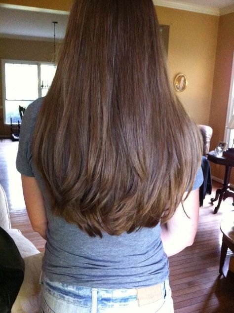 Love the gentle layers Medium Hair Round Layers, Long Soft Layers Haircut Straight, Long Round Haircut, Brown Hair No Layers, Rounded Haircut Long, Haircuts Long Thick Hair, Long Layers On Medium Length Hair, Subtle Long Layers, Long Thick Straight Hair