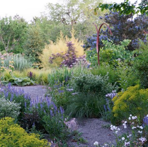 Craftsman Garden Landscaping, Pnw Shade Garden, Pacific Northwest Native Garden, Pacific Northwest Garden Design, Pnw Garden Landscapes, Pacific Northwest Landscaping, Perenial Garden, Seattle Garden, Portland Garden