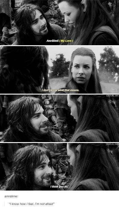 Fili And Tauriel, Hobbit Funny, Kili And Tauriel, Lotr Funny, Concerning Hobbits, Fili And Kili, The Hobbit Movies, Heroic Fantasy, Tauriel