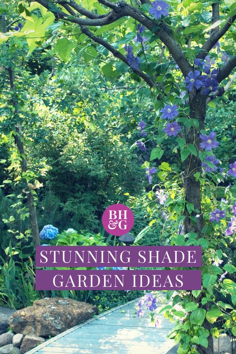 Creating a shade garden design for your yard has never been easier! We’ve rounded up the best design tips, ideas, and inspiration for a shady yard, so you don’t have to worry about coming up with the perfect layout alone. #shadegarden #gardening #landscaping Landscaping Makeover, Shade Garden Ideas, Diy Garden Landscaping, Shade Landscaping, Shade Garden Design, Yard Drainage, Shade Gardening, Shade Garden Plants, Garden Shade