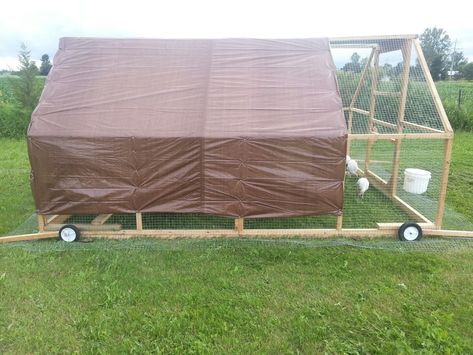 12x10 Turkey Tractor | BackYard Chickens - Learn How to Raise Chickens Turkey Tractor, Turkey Coop, Duck Pens, Cattle Panels, How To Raise Chickens, Chicken Tractor, Raise Chickens, Hardware Cloth, Mini Farm