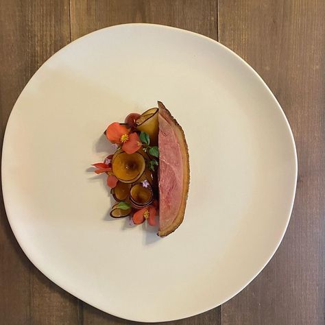 Duck Plating, Aesthetic Plating, Fish Plating, Duck Dishes, Duck Terrine, Newborn Stroller, Chefs Plate, Duck Breast, Steak Plates