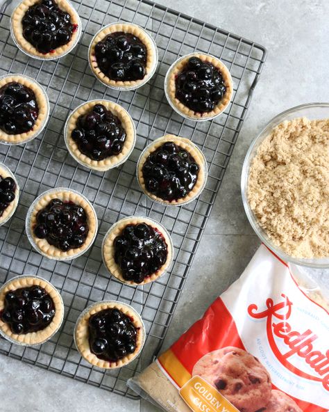 Saskatoon Tarts | Redpath Sugar Frozen Tart Shell Recipes, Saskatoon Tarts Recipe, Saskatoon Desserts, Saskatoon Berry Tarts, Saskatoon Tarts, Saskatoon Berry Recipes, Saskatoon Recipes, Saskatoon Berry Recipe, Toasted Coconut Recipes