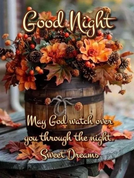 Goodnight Sweet Dreams Quotes, Goodnight Pics, Goodnight Gif, Fall Poems, Kelly's Treehouse, Good Evening Blessings, Goodnight Blessings, Sweet Dream Quotes, Evening Blessings