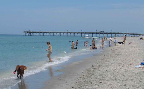 Beach Kayak, Florida Getaway, Venice Florida, Intracoastal Waterway, Venice Travel, Hidden Beach, Romantic Vacations, Pier Fishing, Dog Beach