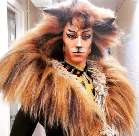 Rum Tum Tugger/Gallery2010s | 'Cats' Musical Wiki | Fandom Rum Tum Tugger, Musical Fanart, Jellicle Cats, Lion Costume, Cats Musical, Uk Tour, Cat Makeup, Presents For Him, Cat Costumes