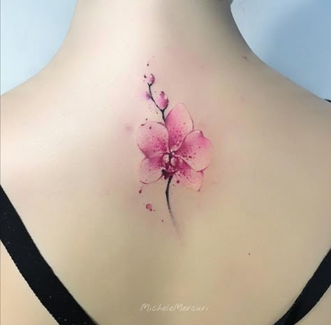 Orchid And Cherry Blossom Tattoo, Orchid Tattoo On Back, Japanese Tattoo Art Feminine, Tattoo Ideas Female Orchid, Back Tattoo Women Spine Cherry Blossoms, Lotus Flower Back Tattoo, Back Tats Women Cherry Blossom, Magnolia Tattoo, Tattoo 2024