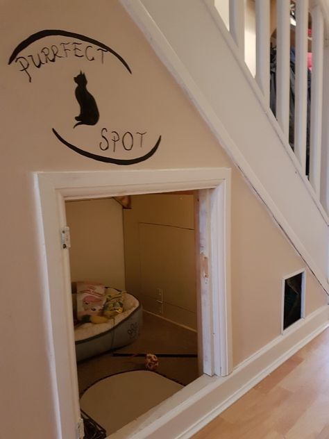 Cat House Under The Stairs, Under Stair Cat House, Cat Nook Under Stairs, Cat Cupboard Under Stairs, Understairs Cat Area, Cat Closet Ideas Under Stairs, Cat Under Stairs, Cat Closet Under Stairs, Under Stair Cat Litter