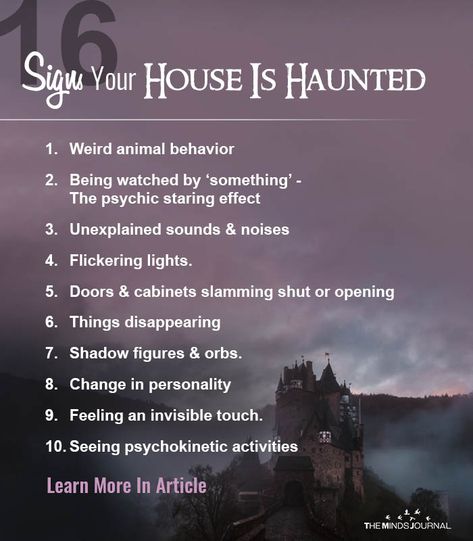 Paranormal Facts, Haunted House Stories, Spirit Ghost, Scary Facts, Creepy Facts, Paranormal Investigation, Paranormal Activity, In The Darkness, Ghost Hunting