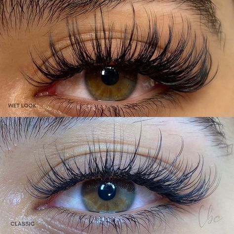 B E Y E L I A N on Instagram: “Same eye, same mapping, different sets classic VS wet look😍😍 Follow us @beyelian for more daily lash inspo 💯 . 👉Tap the link in my bio to…” Classic Long Lash Extensions, Natural Fake Eyelashes, Maquillage Yeux Cut Crease, Maquillage On Fleek, Lashes Fake Eyelashes, Lash Styles, Lash Extensions Styles, Eyelash Extensions Styles, Eyelash Extension Supplies