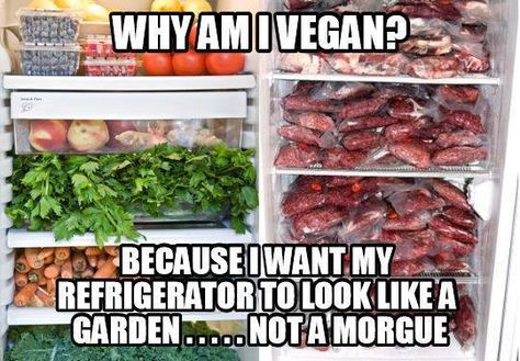 ριntєrєѕt✦∙∘≫✧⇝ fruityanji ☪ Vegetarian Quotes, Reasons To Go Vegan, Vegan Facts, Vegan Memes, Vegan Quotes, Why Vegan, Going Vegetarian, Vegan Humor, Vegan Inspiration