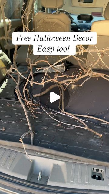 53K views · 2.9K likes | Nifty.Nest on Instagram: "Easiest and cheapest #diyhalloweendecor ever! You can also put the branch or branches in a vase, whatever floats your spooky spirit! #easydiy #diyhomedecor #diyhalloween #halloweenideas" Halloween Branches Decorations, Tree Branch Decor Outdoor, Halloween Decor With Branches, Halloween Branches Diy, Twig Halloween Decor, Halloween Branches, Tree Limbs Decor Branches, Branch Halloween Decor, Halloween Branches Porch