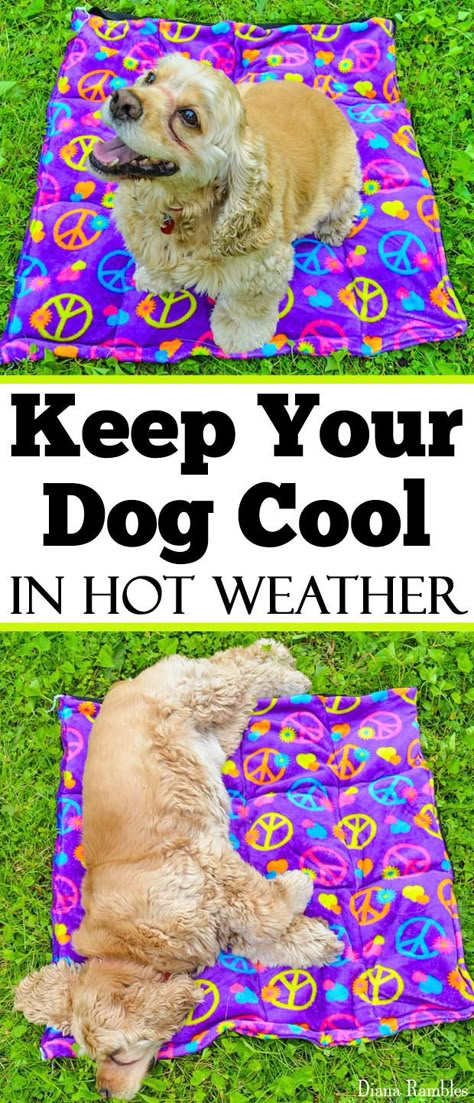 DIY Dog Cooling Pad Sewing Tutorial - Need to keep your dog cooled off this summer? Here is a DIY Dog Cooling Mat Tutorial that will keep your pooch cool while he's outside with the family. It's great pet bed for warm weather climates. It's easy to make and only requires basic sewing skills. Dog Cooling Mat, Dog Cooling Pad, Dog Diy, Cooling Pad, Basic Sewing, Dog Projects, Dog Crafts, Diy Dog, Dog Obedience