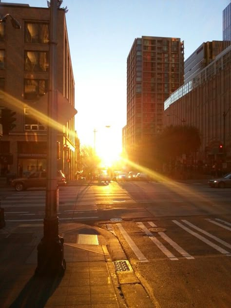 City sun. Afternoon Sun Aesthetic, Sunny Street Aesthetic, Sun Rising Aesthetic, Sunny Asethic, Sunny City Aesthetic, Yellow Aesthetic City, Sunrise Aesthetic City, Warm Sunny Aesthetic, Golden Hour City