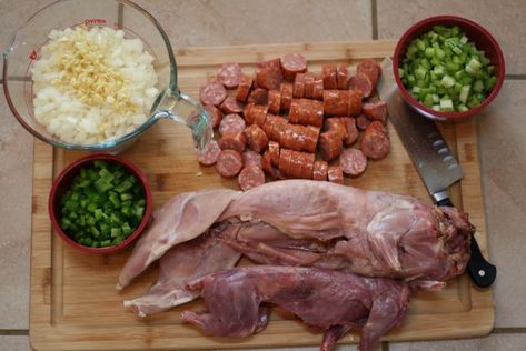 Squirrel Stew, Easy Rabbit Recipe, How To Cook Rabbit, Squirrel Food, Rabbit Meat, Cajun Creole Recipes, Gumbo Recipe, Cajun Cooking, Wild Game Recipes