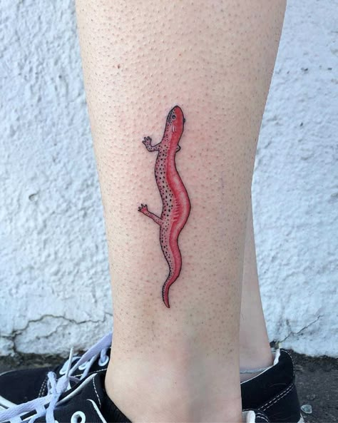 Tiger Salamander Tattoo, Unit Circle Tattoo, Salamander Tattoo Design, Mandible Tattoo, Tadpole Tattoo, Newt Tattoo, Salamander Tattoo, Reptile Tattoo, Red Salamander