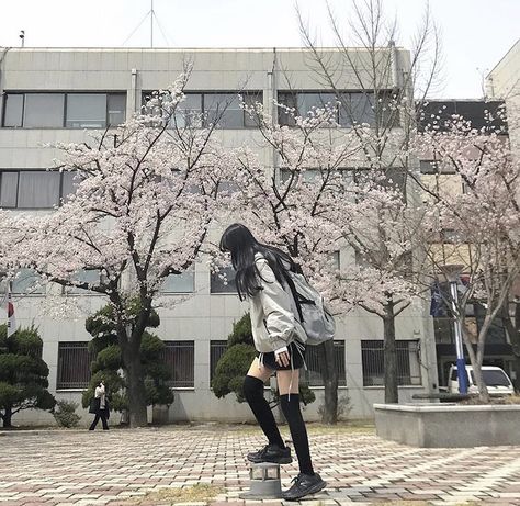 ↳  𝐓𝐚𝐞𝐠𝐮𝐤𝐤𝐢   ᤲ.°୭̥ Little Miss Perfect, Color Vibe, Spring Girl, Japan Aesthetic, Aesthetic Japan, Japanese School, Cat Icon, Japanese Aesthetic, Pretty Places