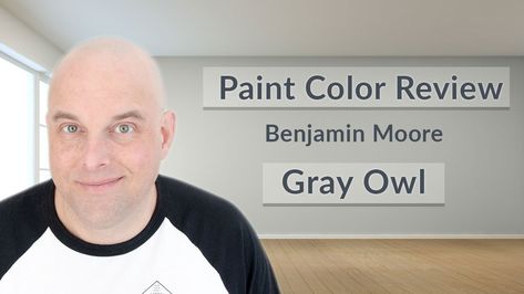 Today's color review is Gray Owl by Benjamin Moore, as your room décor color expert I’m going tell you what you need to know about this beautiful paint color and I’m going to give you some valuable tips that will save you money. Grey Owl Benjamin Moore Living Room, Benjamin Moore Grey, Benjamin Moore Gray Owl, Gray Owl Paint, Benjamin Moore Bedroom, Benjamin Moore Grey Owl, Color Consultant, Benjamin Moore Classic Gray, Coventry Gray