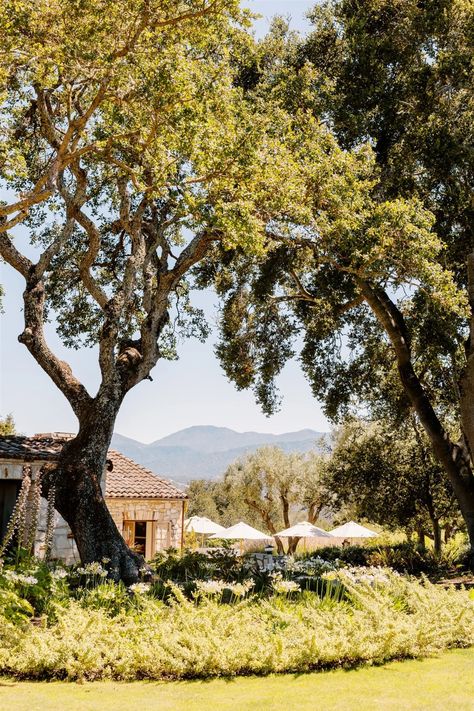 A "California cool" ranch wedding with custom watercolor details California Ranch Wedding, Calamigos Ranch Wedding, Calamigos Ranch, California Ranch, Carmel Valley, Desert Vibes, Chic Aesthetic, California Cool, Wedding Dress Trends