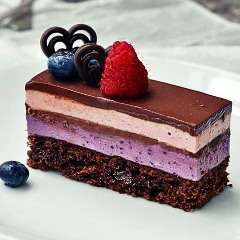 Blueberry Raspberry Cake, Desert Cakes Ideas, Raspberry Chocolate Cake, Entremet Cake, Chocolate Raspberry Mousse Cake, Raspberry Mousse Cake, Chocolate Slice, Chocolate Raspberry Cake, Raspberry Mousse