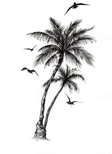 Skull And Palm Tree Tattoo, Coconut Tattoo Design, Palm Tree Reference, Flower Roots Drawing, Coconut Palm Tree Tattoo, Palm Tree Beach Tattoos, Palm Tree Drawing Sketches, Palm Tree Leg Tattoo, Palm Tattoo Design