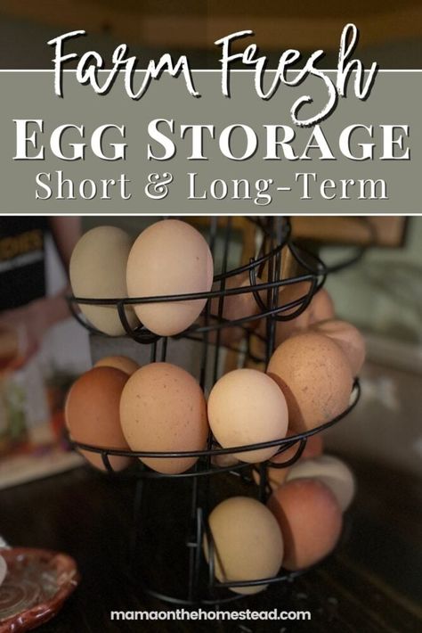 How To Store Eggs, Fresh Egg Storage Ideas, How To Store Fresh Eggs, Egg Organization, Chicken Egg Storage, Storing Eggs On Counter, How To Store Fresh Chicken Eggs, Fresh Eggs Storage, How Long Are Fresh Eggs Good For