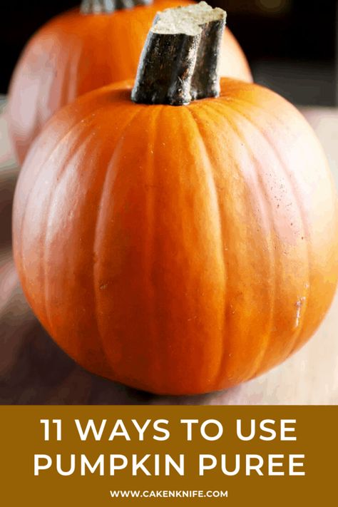 Fall is upon us and that means it's officially all about PUMPKIN. Here's 11 ways to use pumpkin puree so you can enjoy the flavor all season long! Pumpkin Pie Protein Smoothie, Pumpkin Butter Recipe, Pumpkin Pie Protein, Pumpkin Puree Recipes, Creamy Pumpkin Soup, Pumpkin Mac And Cheese, Fall Dinners, Fall Cake, Spiced Drinks