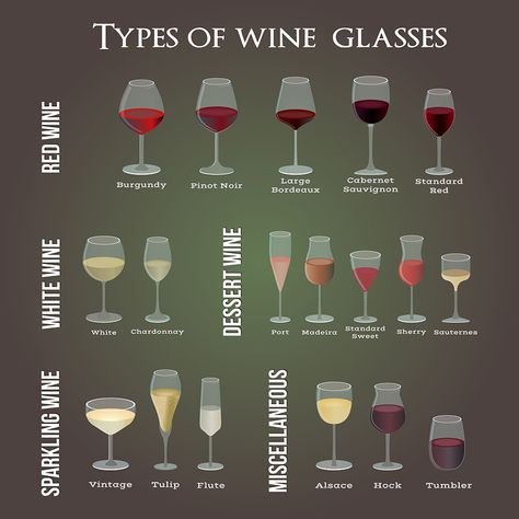 Types Of Wine Glasses, Sparkling Wine Glasses, Types Of Red Wine, Wine Chart, Sauvignon Blanc Wine, Wine Glassware, Different Types Of Wine, Sherry Wine, Wine Knowledge